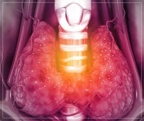 Diseases Treated by an Endocrinology Doctor in Kolkata