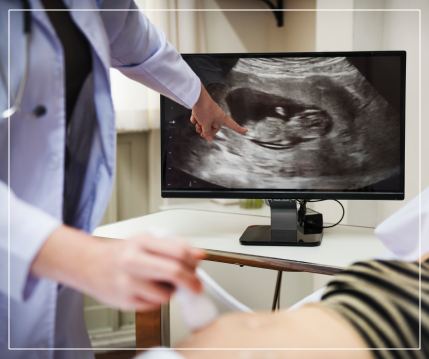 High-Quality USG services